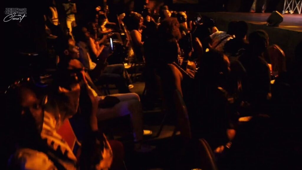 Guests engaging with live performances at ZedFEST 2023